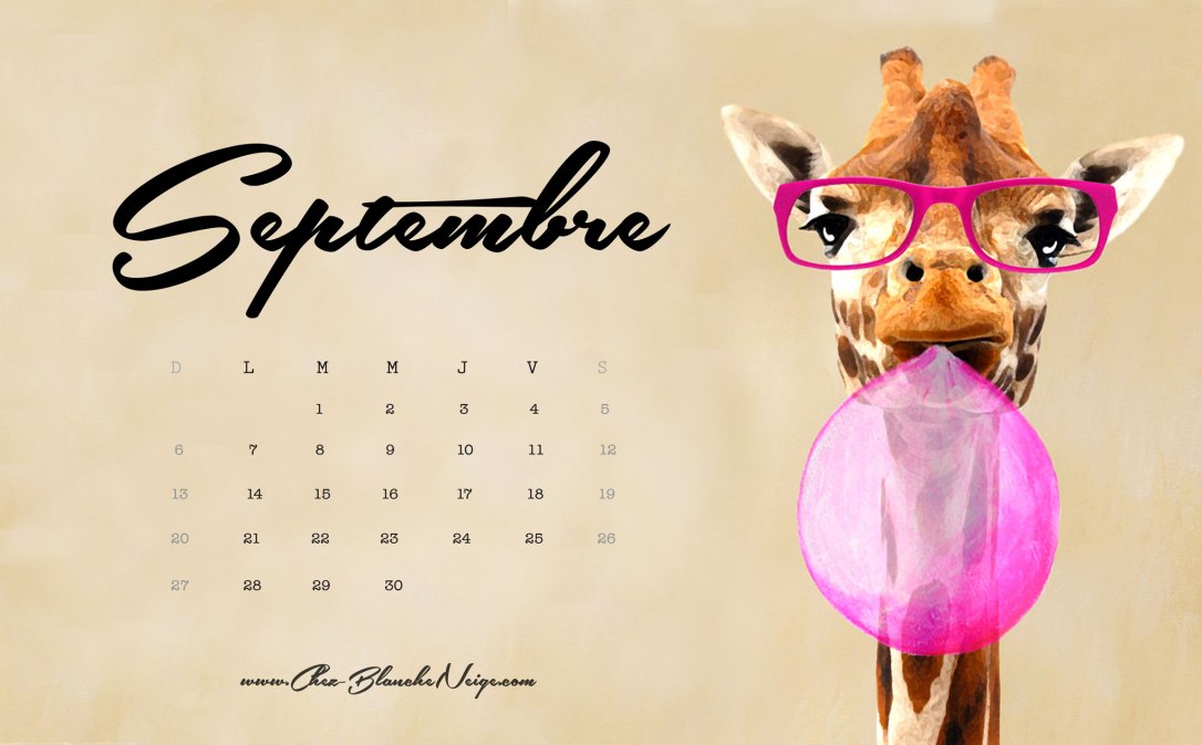 septembre-fd