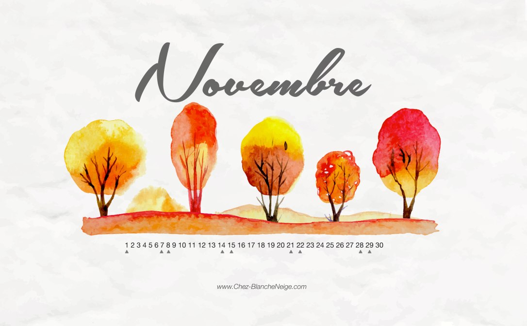 Novembre-Calendar