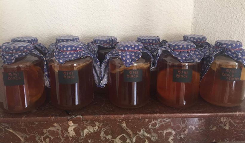 19369296_1702963309731509_1573299381_o