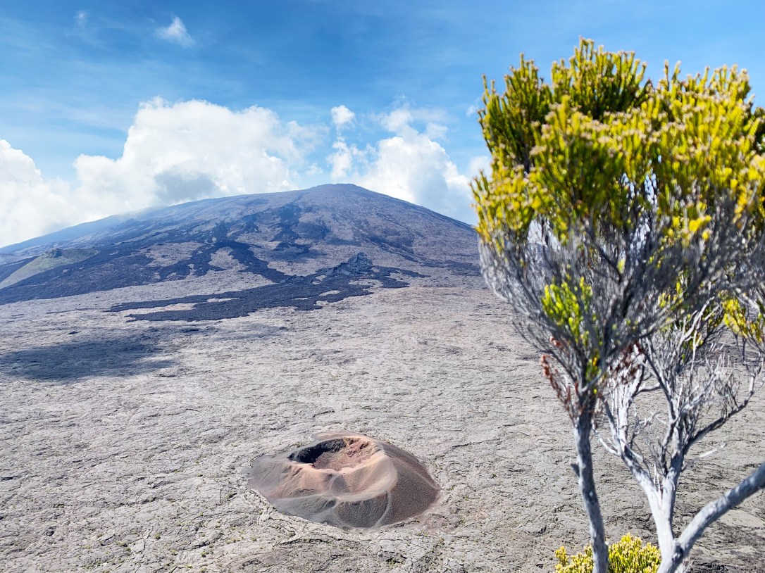 F1E3576C-43D0-4195-9A8D-5D6C23857CC7